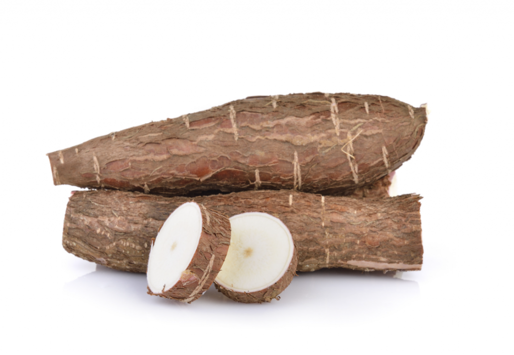 cassava