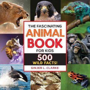 Animal-Book-for-Kids