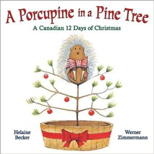 a-porcupine-in-a-pine-tree