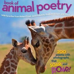 animal-poetry