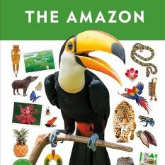 eyewitness-the-amazon