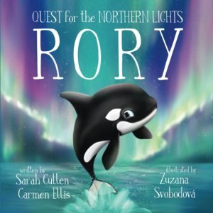 northern-lights-rory